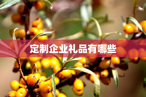 定制企业礼品有哪些