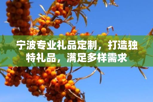 宁波专业礼品定制，打造独特礼品，满足多样需求