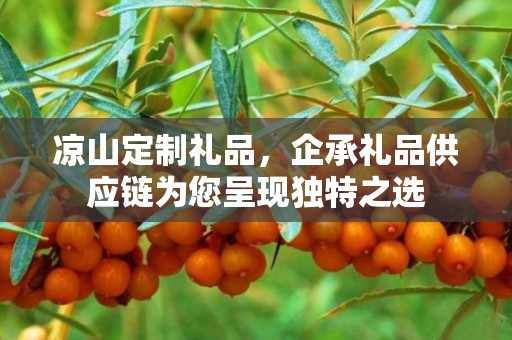 凉山定制礼品，企承礼品供应链为您呈现独特之选