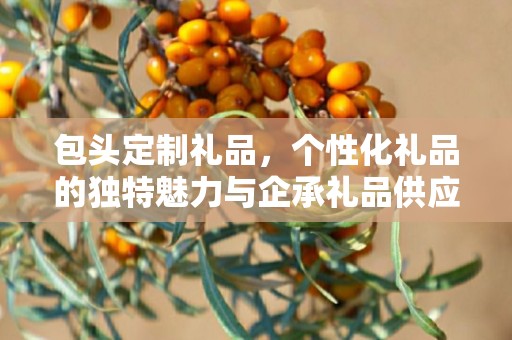 包头定制礼品，个性化礼品的独特魅力与企承礼品供应链的专业服务