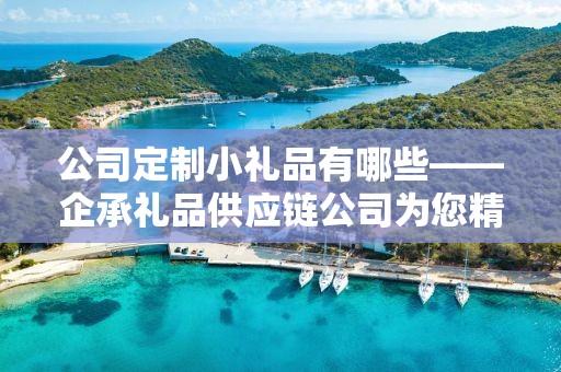 公司定制小礼品有哪些——企承礼品供应链公司为您精选